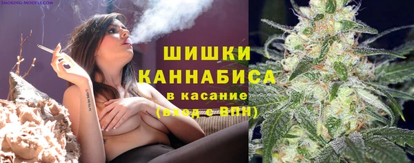 гидра Нязепетровск