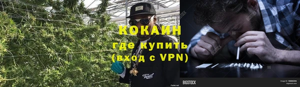 прущие грибы Зерноград