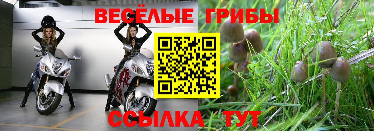 Галлюциногенные грибы мухоморы Сыктывкар